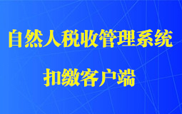 自然人税收管理系统扣缴客户端